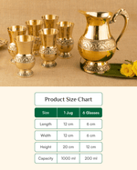 Premium Brass Monarch Jug & Glass Set