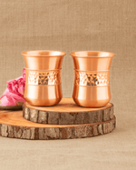 Premium Copper Alpha Bottle with 2 Pcs Glass